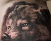 Remis Tattoos, Wolf and Indian