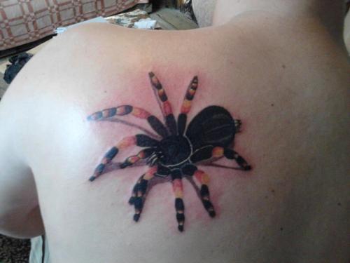 21-INK ARTWORK spider 3D tattoo