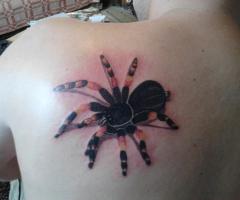 21-INK ARTWORK spider 3D tattoo