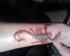 21-INK ARTWORK scorpion black and red