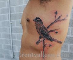 Bird tattoo by Trent Valleau