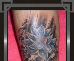 Flor de Lótus