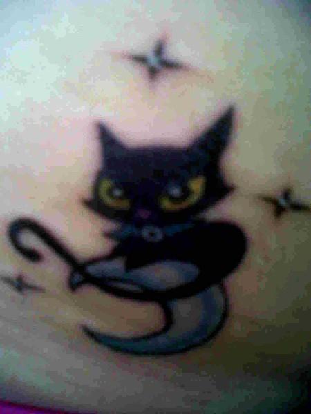 mi sombras gato en la luna