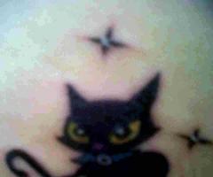 mi sombras gato en la luna