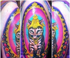 full color gato