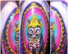 full color gato