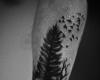 Point trees