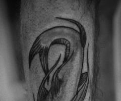 El bagre tattoo