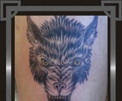 Lobo estilo Tradicional Old School