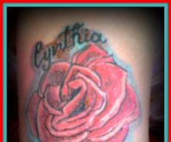rosa