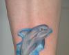 Dolphin tattoo