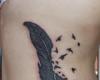 Tatuaje Brasov feather and birds