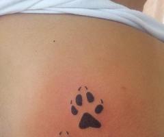 Tatuaje Brasov paws tattoo