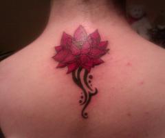 Tatuaje Brasov floare de lotus