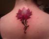 Tatuaje Brasov floare de lotus