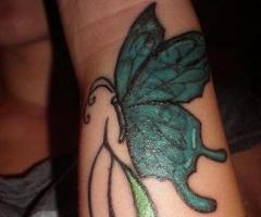 Butterfly tattoos