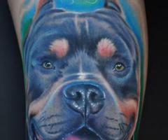 Rottweiler tattoo
