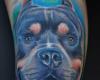 Rottweiler tattoo