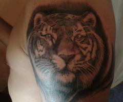 Tatuaje de tigre realismo