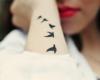 Birds on arm