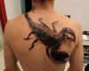 Huge 3d scorpion tattoo