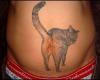Votre chat se prend pour le nombril du monde