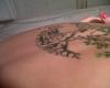 Arbol de la vida