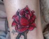 Un solitario rosa tatuaggi