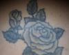 Nero e rosa bianca tatuaggio