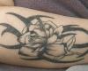 Disegni di rose in mano