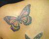 Farfalle tatuate sulla schiena di donna