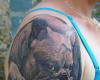Little French Bulldog tattoo