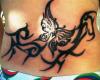 Borboleta tribal 