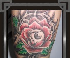 Rosa e olho 2