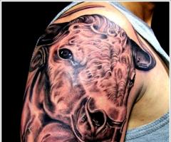 Bull Tattoo