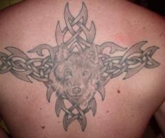 Grand tatouage sur le dos loup sur un tribal ombré