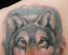Tatouage coloré loup en pastel