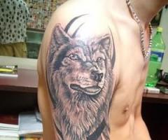 Grand tatouage sur le bras loup sur un tribal unique