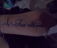 Amor
