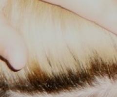 Infinite love