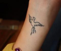 Phoenix tattoos for men and women