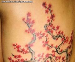 arbol sakura