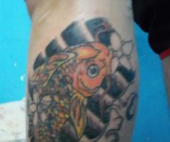 Tatuaje koy