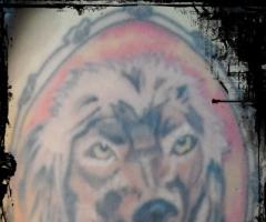 perro