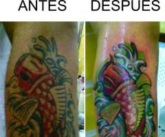 Restaurando un pez koi