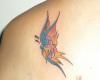 Tatuajes de mariposas