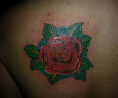 Tatuaje de rosa roja