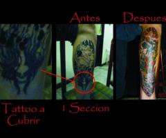 cover up