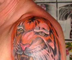 Tiger color toon tattoo