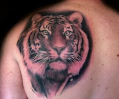 Spektakuläre Tätowierung auf dem Rücken eines Tigers im detail